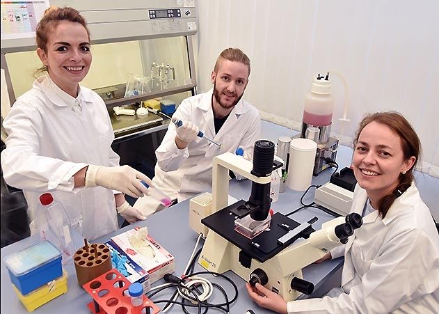 Dr. Jana Gerstmeier (v. l. n. r.), Erik Romp und Dr. Ulrike Garscha aus dem Team von Prof. Dr. Oliver Werz (Uni Jena) haben die Wirksamkeit des per Computermodell ermittelten Entzündungshemmers im Labor bestätigt.