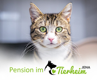 Tierheim Jena