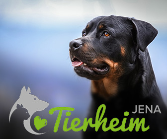 Tierheim Jena