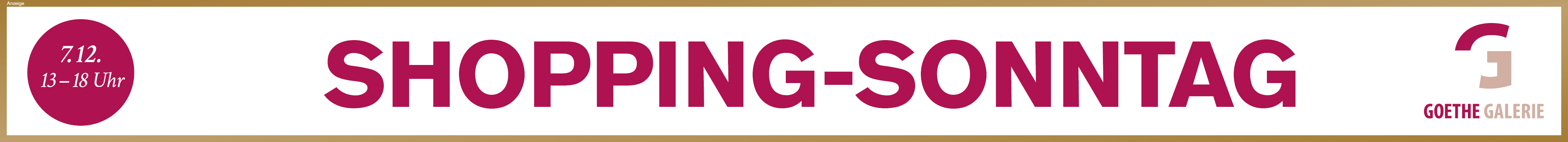 Goethe Galerie Jena - VOS