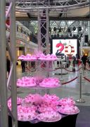 Goethe Galerie Feier 2016 0012