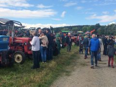 Traktorenschau Rabis13