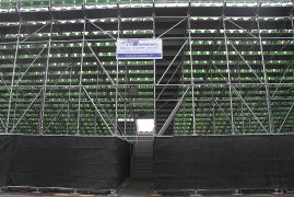 18 Ernst Abbe Sportfeld DFB Pokal 2015