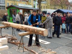 Holzmarkt 2017 02