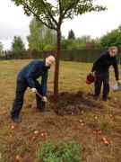 Trueperwiese BuergerstiftungJena
