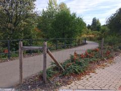 Landschaftspark Saalebogen Jena 002