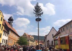 Maibaumsetzen In Lobeda Altstadt 001