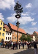 Maibaumsetzen In Lobeda Altstadt 0012