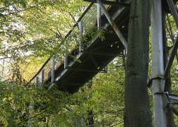 2 Nationalpark Hainich 2015