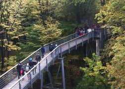 3 Nationalpark Hainich 2015