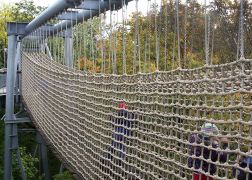 5 Nationalpark Hainich 2015