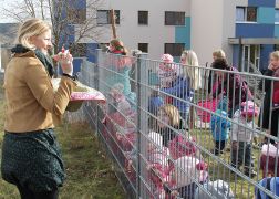 Rosenmontagsumzug Jena 2017 0031