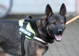 Mord In Jena 231216 0010