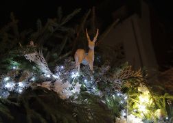 Weihnachtsmarkt Jena 2017 0028