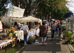 Wenigenjenaer Sommerfest 2017 002