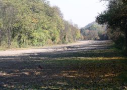 Autobahn Bei Jena 002