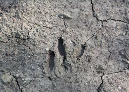 Autobahn Bei Jena 006