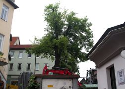 Johannisplatz Jena 2016 0012