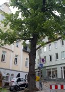 Johannisplatz Jena 2016 004