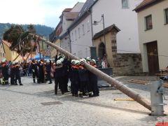 Maibaum2015 03