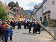 Maibaum2015 04