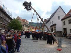 Maibaum2015 05