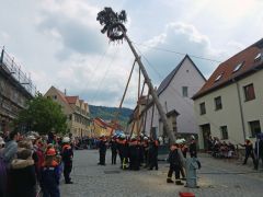 Maibaum2015 06