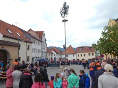 Maibaum2015 11