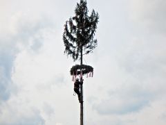 Maibaum2015 12