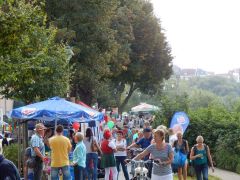 SommerfesteWj15
