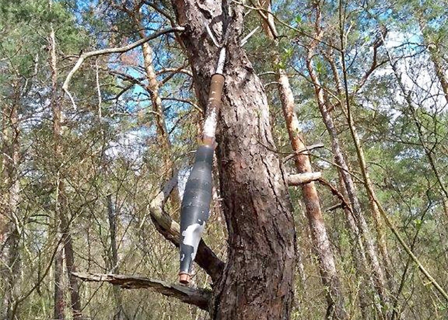 Die Granate war in einem Baum eingewachsen.