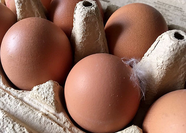 Im Skandal um eine Giftbelastung nehmen Aldi Süd und Aldi Nord deutschlandweit sämtliche Eier aus dem Verkauf.