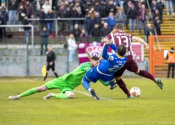 BFC Dynamo FC Carl Zeiss Jena 10042022 00028