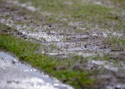 Jena Leipzig 22012022 00022