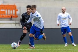 Testspiel FC Carl Zeiss Jena FSV Zwickau 14012023 11