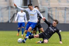 Testspiel FC Carl Zeiss Jena FSV Zwickau 14012023 26
