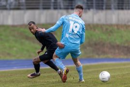 Viktoria Berlin FC Carl Zeiss Jena 29012023 09