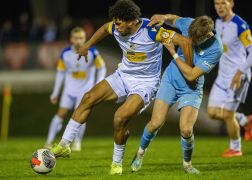 Viktoria Berlin FC Carl Zeiss Jena 28032025 19