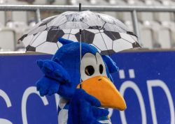 Jena Gegen BFC Dynamo 06122024 15