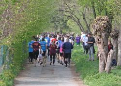Jenaer Teamlauf In Jena 29042022 000065