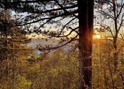 Abendlicher Spaziergang Auf Den Jenzig In Jena Ostern 2022 00010