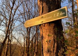 Abendlicher Spaziergang Auf Den Jenzig In Jena Ostern 2022 00012
