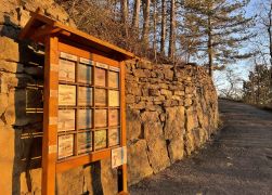 Abendlicher Spaziergang Auf Den Jenzig In Jena Ostern 2022 00013