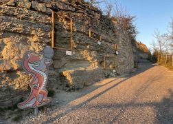 Abendlicher Spaziergang Auf Den Jenzig In Jena Ostern 2022 00015