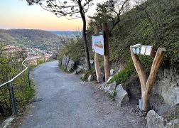 Abendlicher Spaziergang Auf Den Jenzig In Jena Ostern 2022 00023