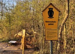 Abendlicher Spaziergang Auf Den Jenzig In Jena Ostern 2022 0003