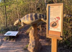 Abendlicher Spaziergang Auf Den Jenzig In Jena Ostern 2022 0004