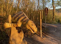 Abendlicher Spaziergang Auf Den Jenzig In Jena Ostern 2022 0005