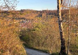 Abendlicher Spaziergang Auf Den Jenzig In Jena Ostern 2022 0006