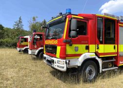 Brand In Jena Baum Knallt In Stromleitung Und Entfacht Feuer 000031